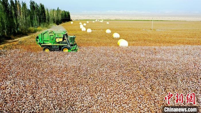 近年來，當地棉花種植戶的生產生活發(fā)生了翻天覆地的變化?！《?攝