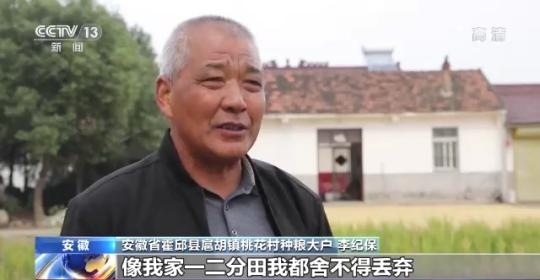 十八連豐！秋收近九成 我國糧食產(chǎn)能穩(wěn)步提升