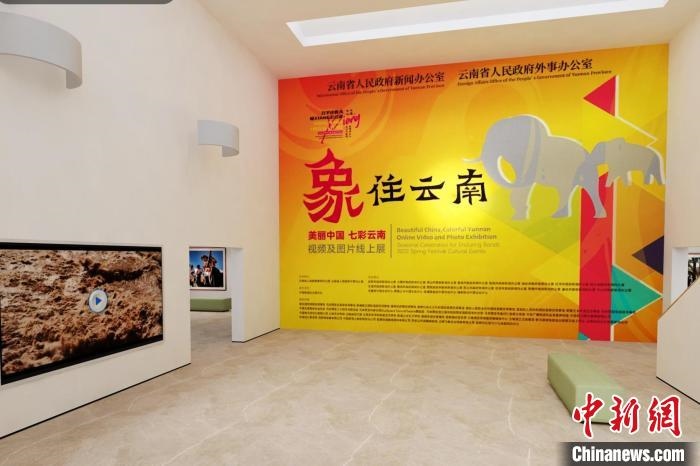 圖為“象”往云南——美麗中國(guó) 七彩云南視頻及圖片線上展截圖?！『h(yuǎn)航 攝