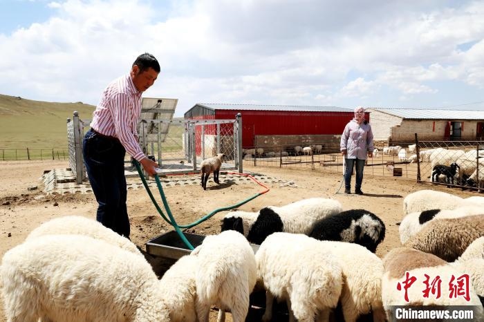 圖為圖門(mén)達(dá)來(lái)在喂羊?！埵鹧?攝