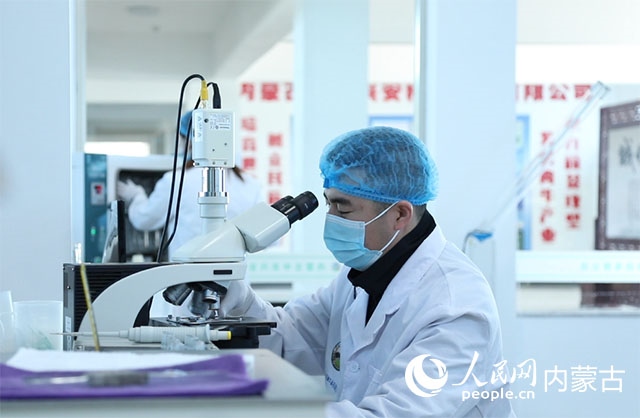 內(nèi)蒙古中農(nóng)興安種牛科技有限公司落戶科右中旗，為肉牛產(chǎn)業(yè)發(fā)展提供了優(yōu)質(zhì)的種源保障。白俊華攝