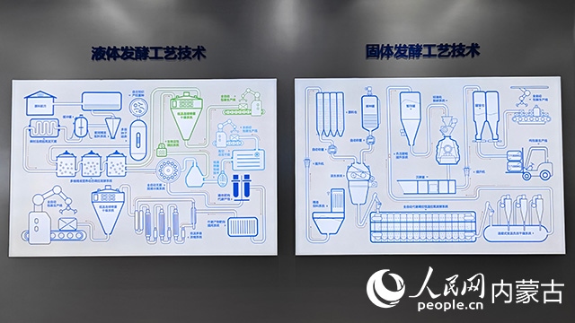 科拓生物工藝技術(shù)展示。人民網(wǎng)記者 張雪冬攝
