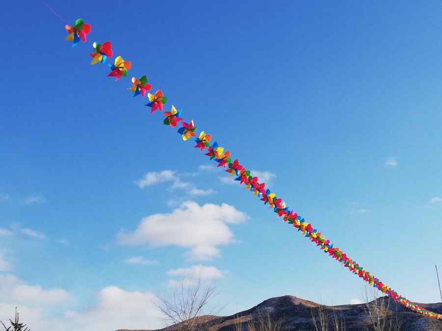 1644202332736661.png 0005.png