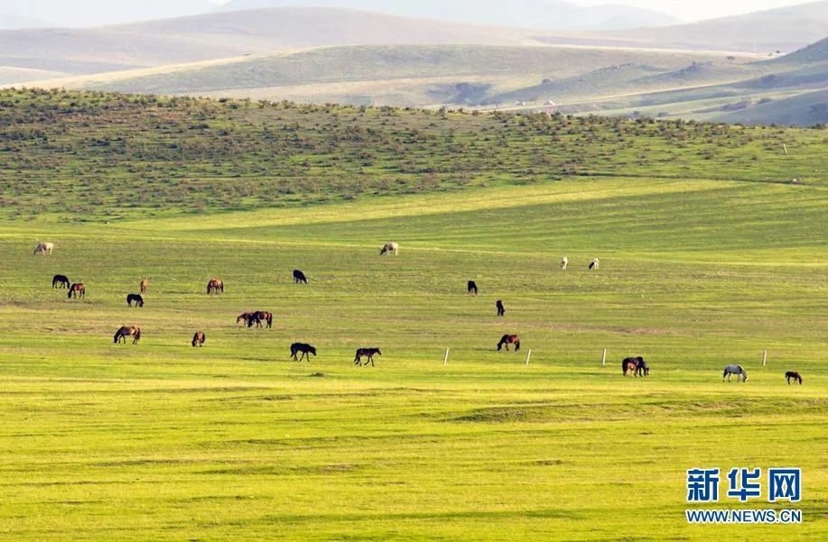 1646227321123294.jpg 微信圖片_20220302203646.jpg