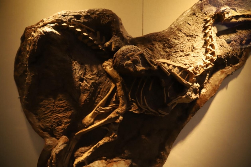 1648202039808438.png 圖片1.png