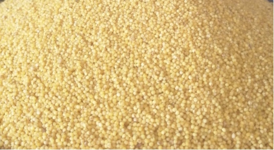 1648440688119352.png 黃合少鎮(zhèn)蘇計(jì)村小雜糧加工基地簡介(4)(1)560.png