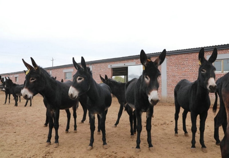 1649229740106675.jpg 624d3d44ly1gk0g3cuyi2j20qo0ioaci.jpg