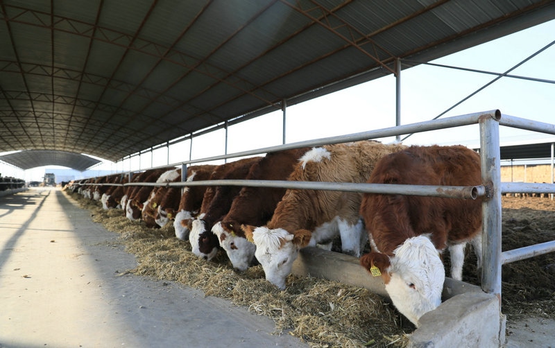 1650300710691951.jpg 624d3d44ly1fxrblxgzjfj21hc0zk4qp.jpg