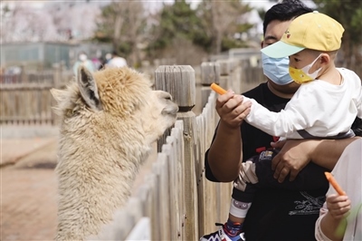 1650354419109584.jpeg e34b19a0d61c41a45e59c2d716460875.jpeg