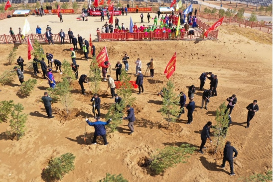 1650620042274671.png de02b0368080017a96fdbf26072900371366.png