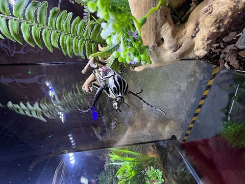 1657359389718975.jpg 微信圖片_20220709162428_副本.jpg