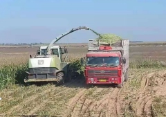 1677551083415859.png image.png