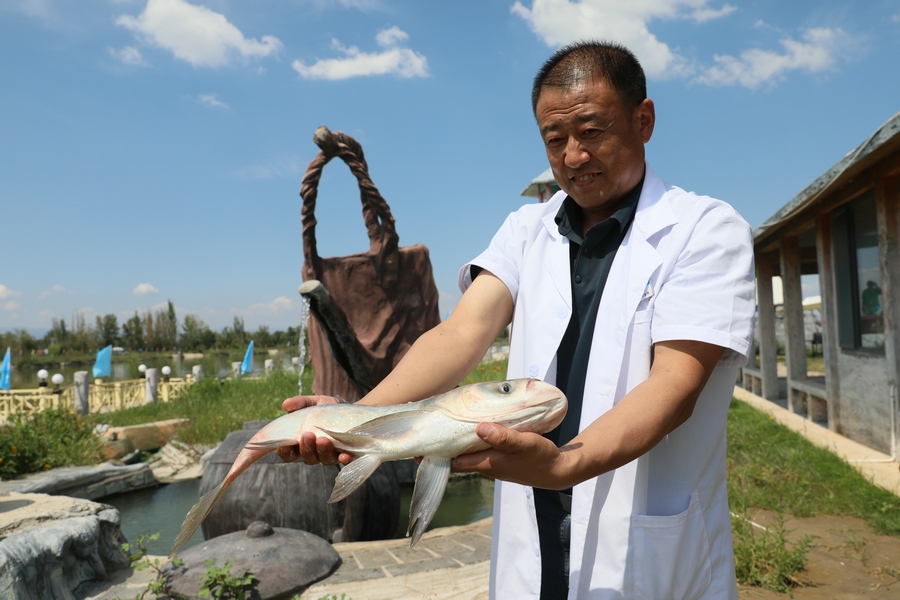 1693062631765148.jpg 7O5A8449.JPG