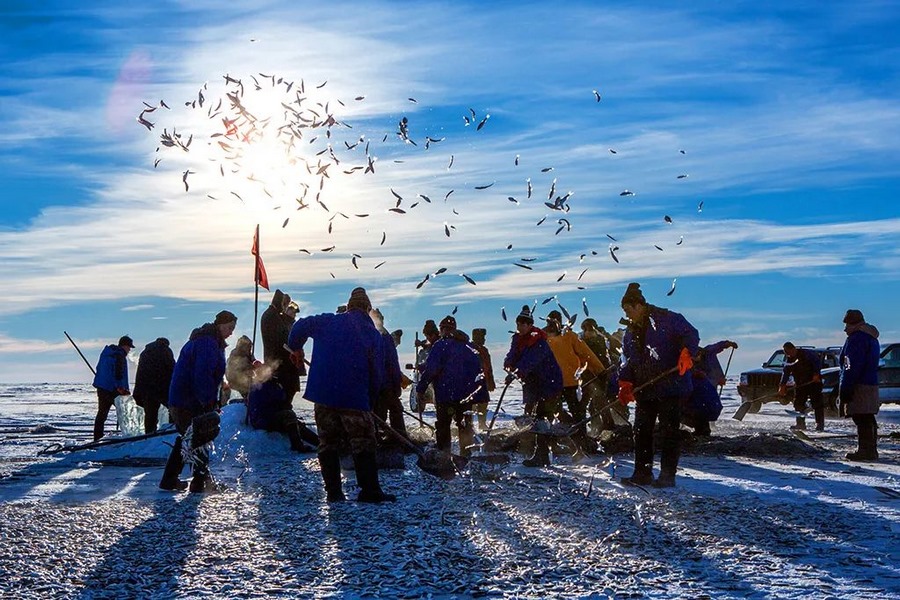 1703777295117257.png 圖片11.png