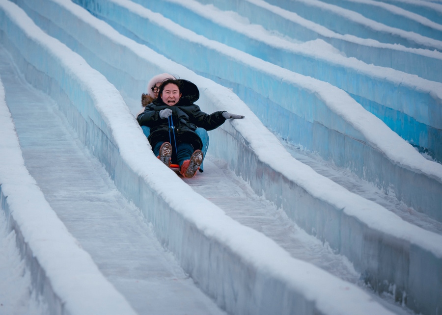 1706114774317359.jpg _DSC1445.jpg