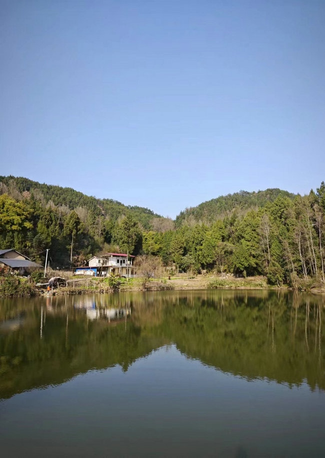 1708353006136109.jpg 這樣在對面看,老家也算依山傍水.jpg