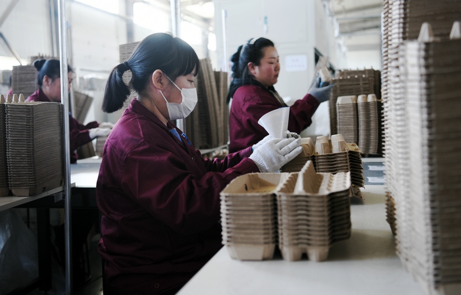 1710873051102544.jpg DSC_3885.jpg