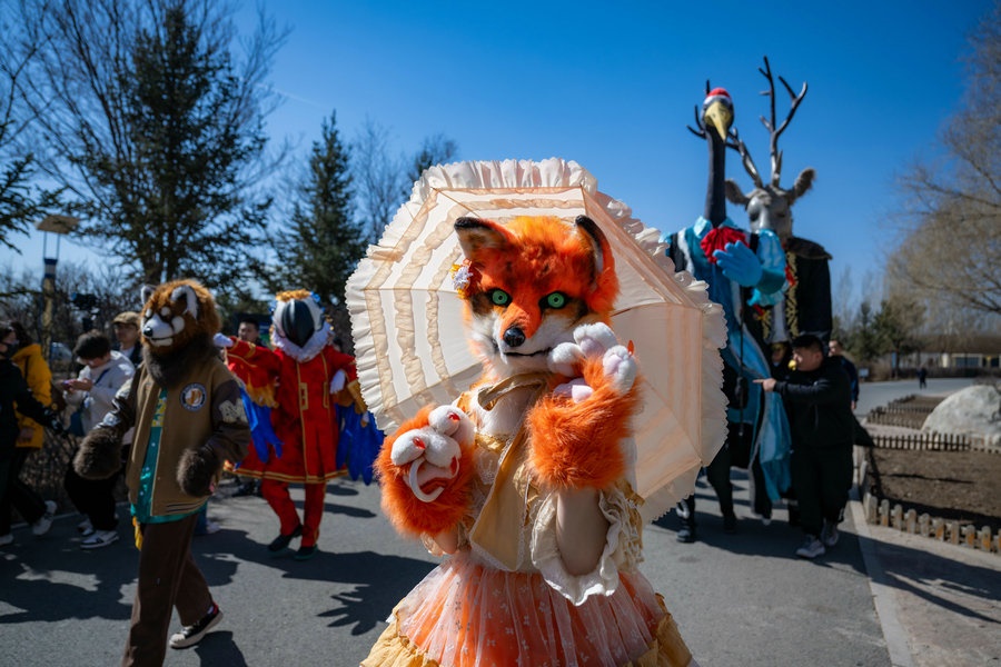 1711096475119142.jpg 1.jpg