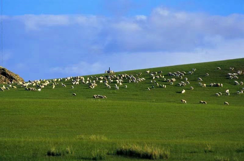 1713517767110286.jpg 3.jpg