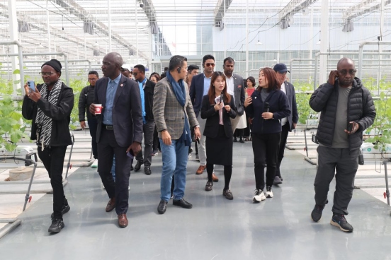 1727084999939168.png 北京大學(xué)“東方獎(jiǎng)學(xué)金”學(xué)員參訪(fǎng)團(tuán)在鄂爾多斯為“東方友誼林”種下新樹(shù)苗189.png