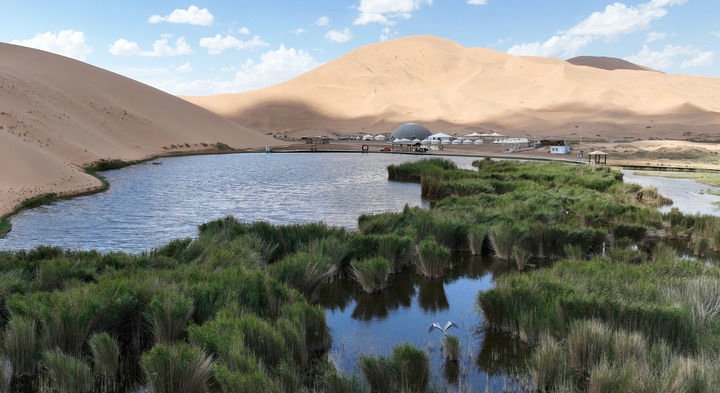 1727315310980393.jpg _O6I0394.JPG