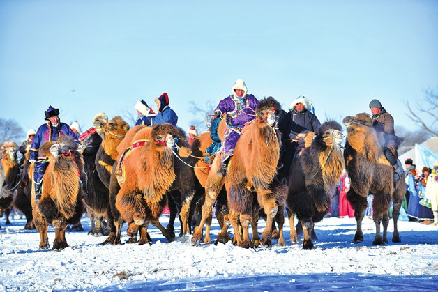 1736306444135438.jpg _01.jpg