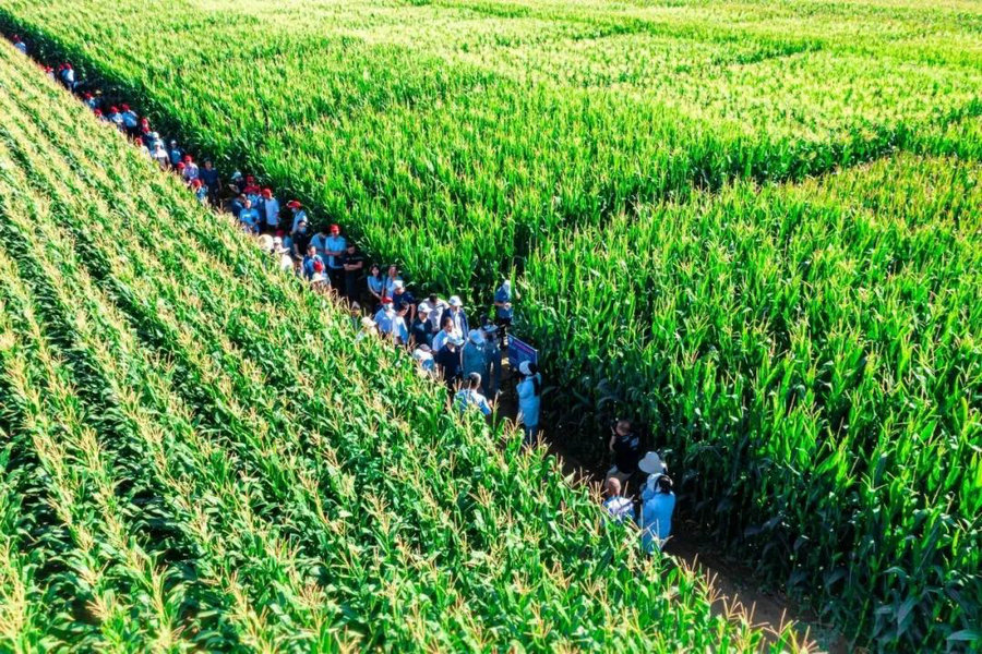 1736740237391718.jpg _K4I9674(1).JPG