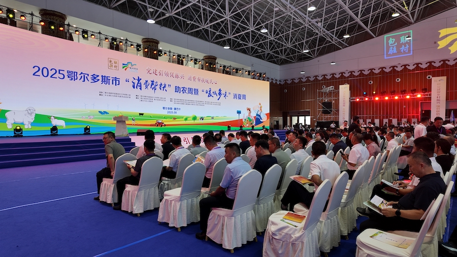 1754098083936285.jpeg WechatIMG7565.jpeg