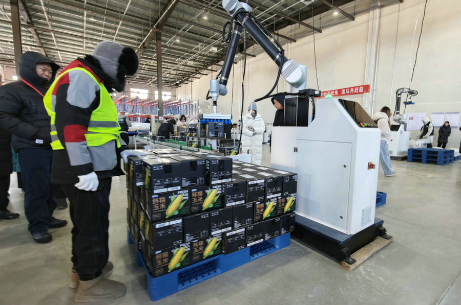 1768743092742470.jpg 20260118204615_237_2.jpg