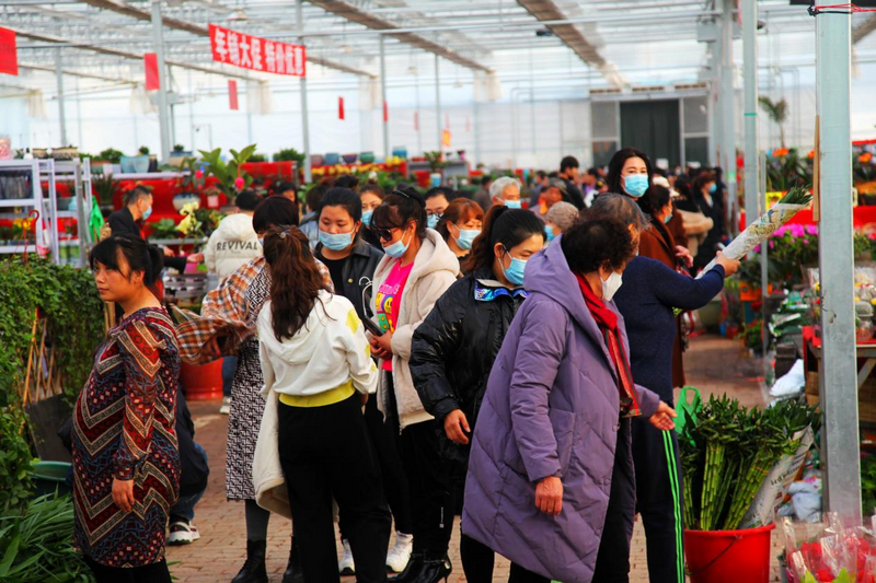 1772266818132985.png 赤峰市民在松山區(qū)雨潤(rùn)花卉市場(chǎng)選購(gòu)鮮花 李富 攝.png