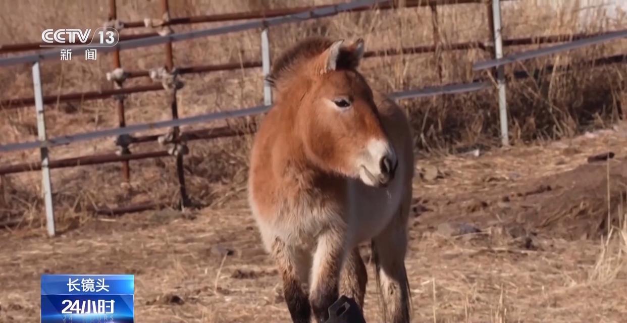 1772594358666562.jpg 006.jpg