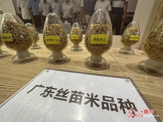 【高質(zhì)量發(fā)展看中國(guó)】5G智慧農(nóng)業(yè) 種出高質(zhì)量好味“稻”