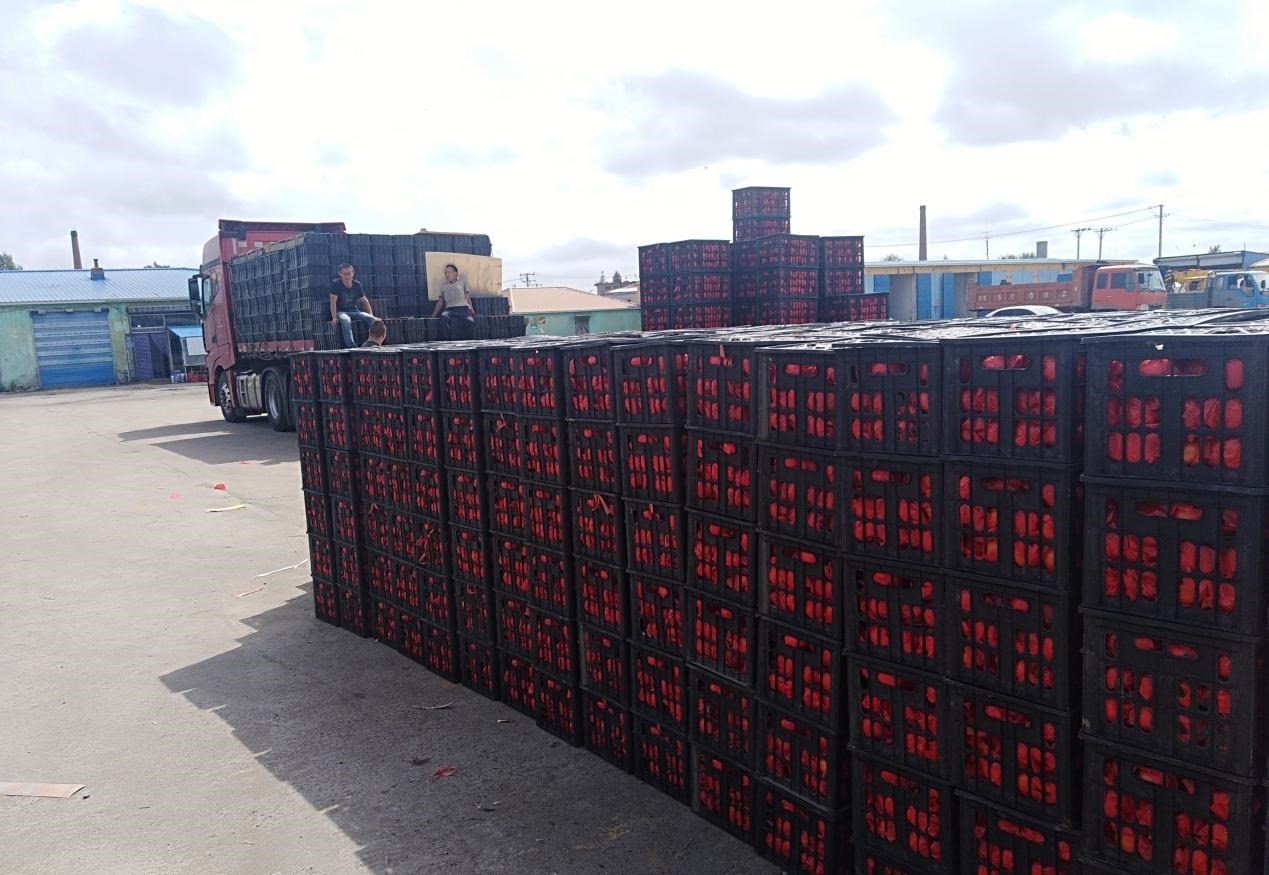 　　外銷的蔬菜在市場(chǎng)等待拉運(yùn)。受訪者供圖