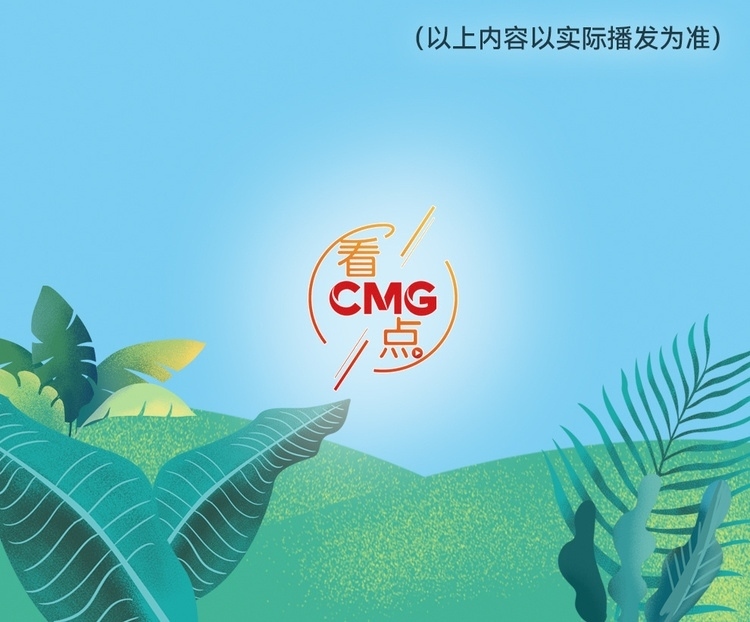 總臺周看點，來了！