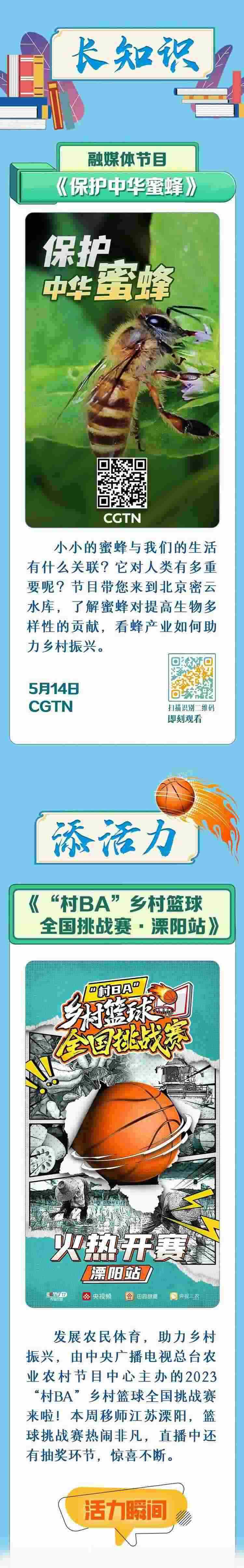 總臺周看點，來了！