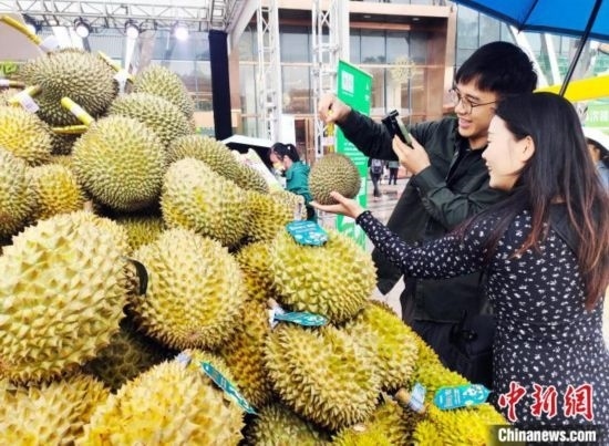 圖為廣西南寧市民在選購(gòu)榴蓮。黃艷梅 攝