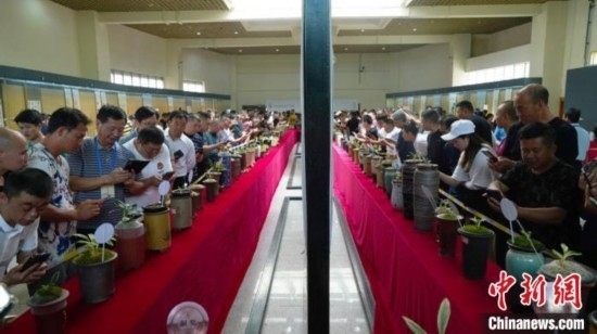 圖為活動(dòng)現(xiàn)場(chǎng)。 云南省委臺(tái)辦供圖