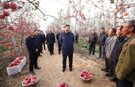 2022年10月26日，習近平總書記在陜西省延安市安塞區(qū)高橋鎮(zhèn)南溝村蘋果園同老鄉(xiāng)們親切交流。