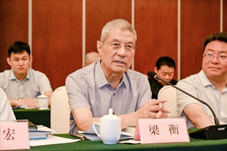 中國林業(yè)生態(tài)作家協(xié)會名譽(yù)主席梁衡發(fā)言。主辦方供圖