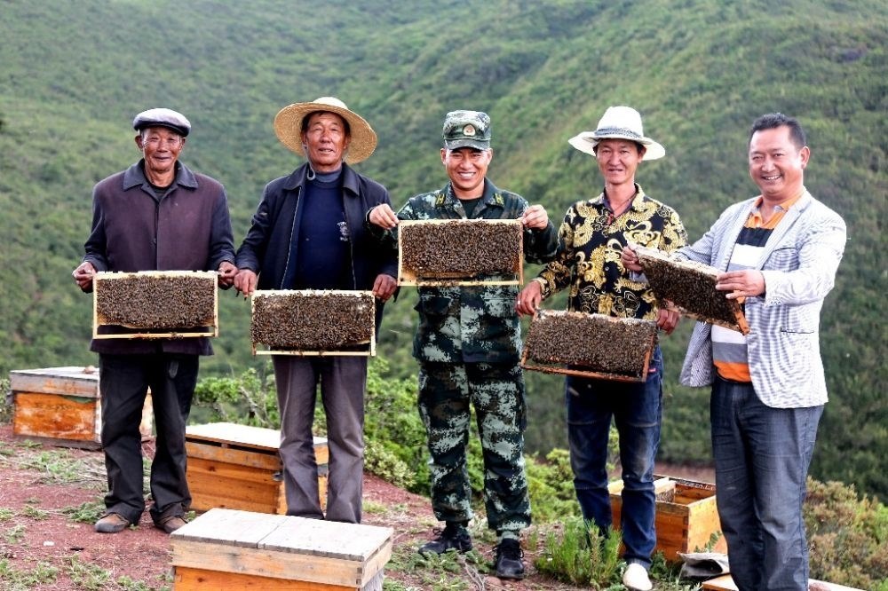 ↑武警四川總隊涼山支隊精準幫扶昭覺縣梭梭拉打村發(fā)展養(yǎng)蜂產(chǎn)業(yè)，總隊駐村扶貧干部布哈（中）和村民一同展示豐收成果（2019年6月12日攝）。新華社發(fā)（楊劍 攝）