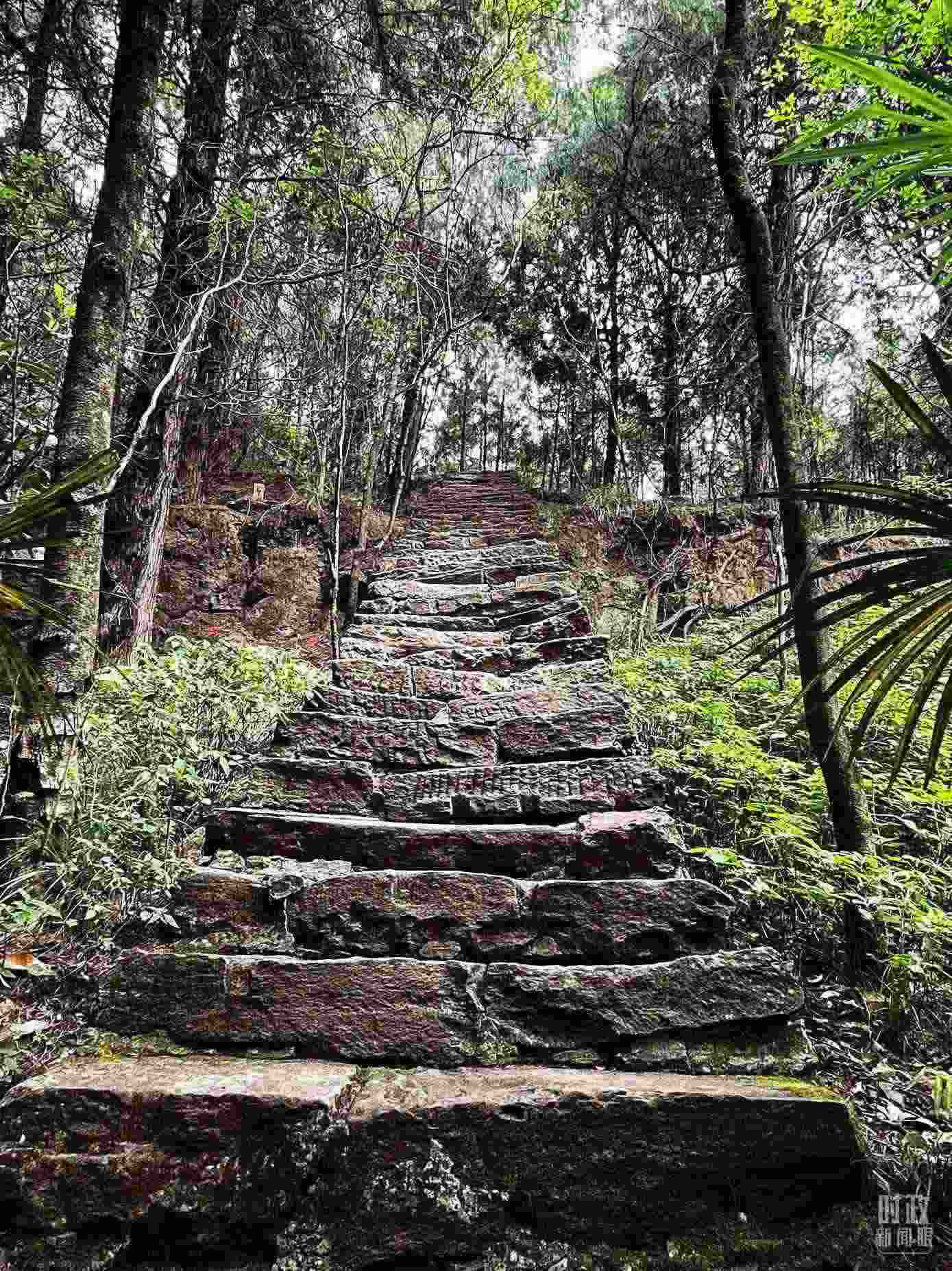 △古蜀道。（總臺(tái)央視記者郭曉龍拍攝）