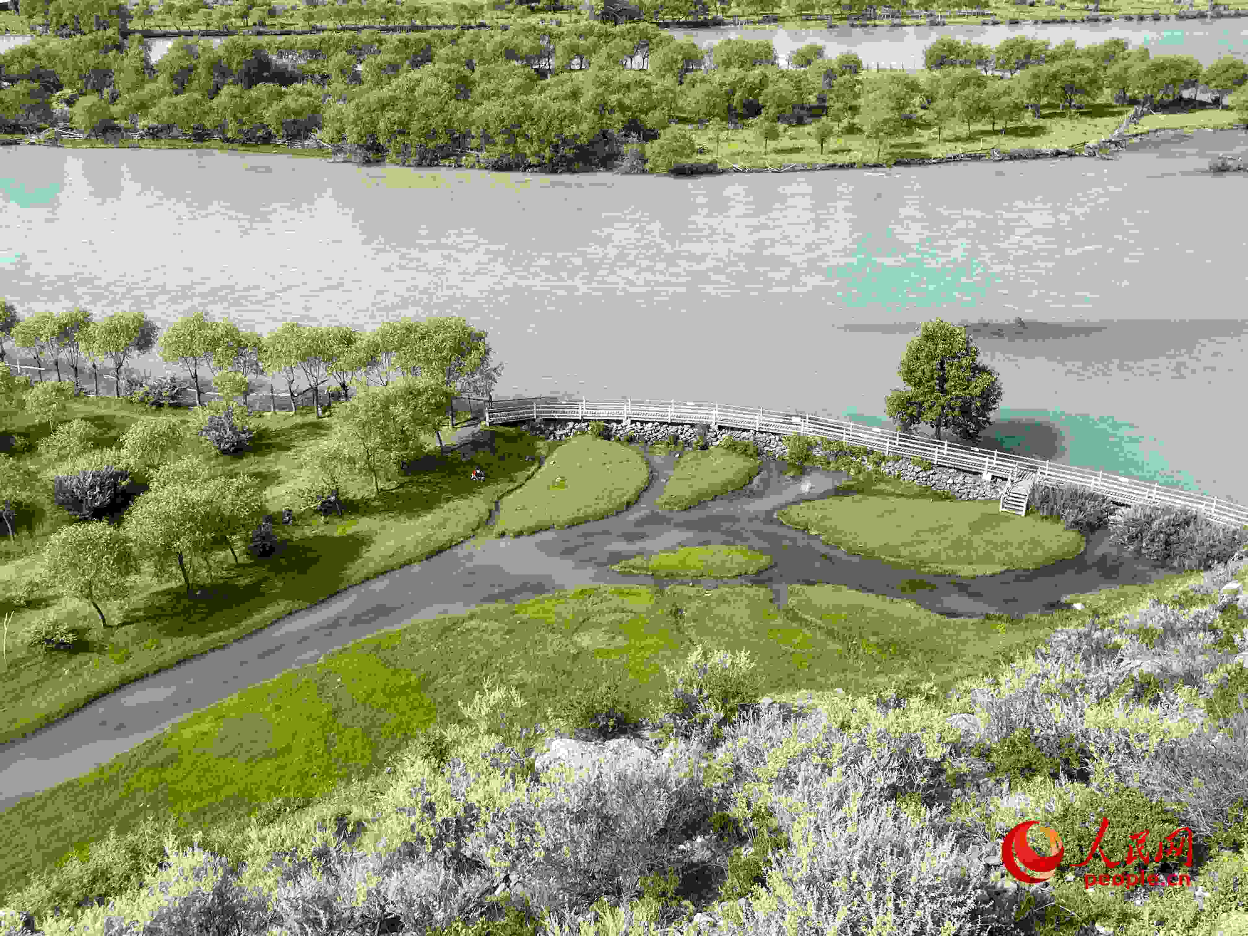 夏日的雅尼國家濕地公園生機盎然，如詩如畫。人民網(wǎng) 周靜圓攝