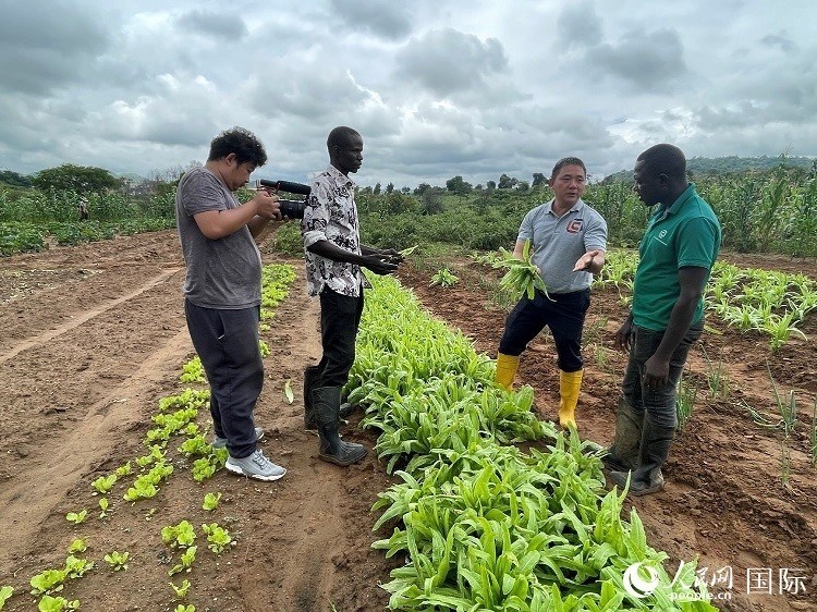 人民網(wǎng)記者走進尼日利亞農(nóng)業(yè)技術(shù)示范中心。人民網(wǎng)記者 趙艷紅攝