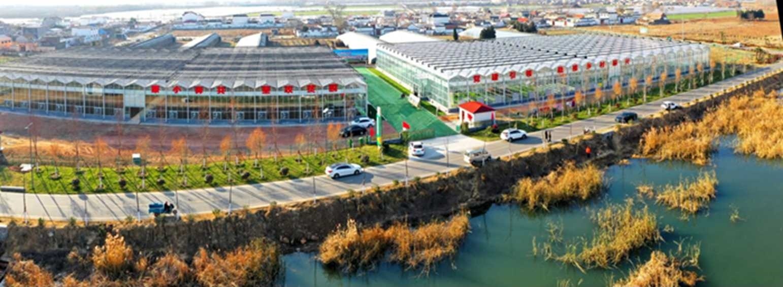 白樓灣三產(chǎn)融合發(fā)展。宋道森攝