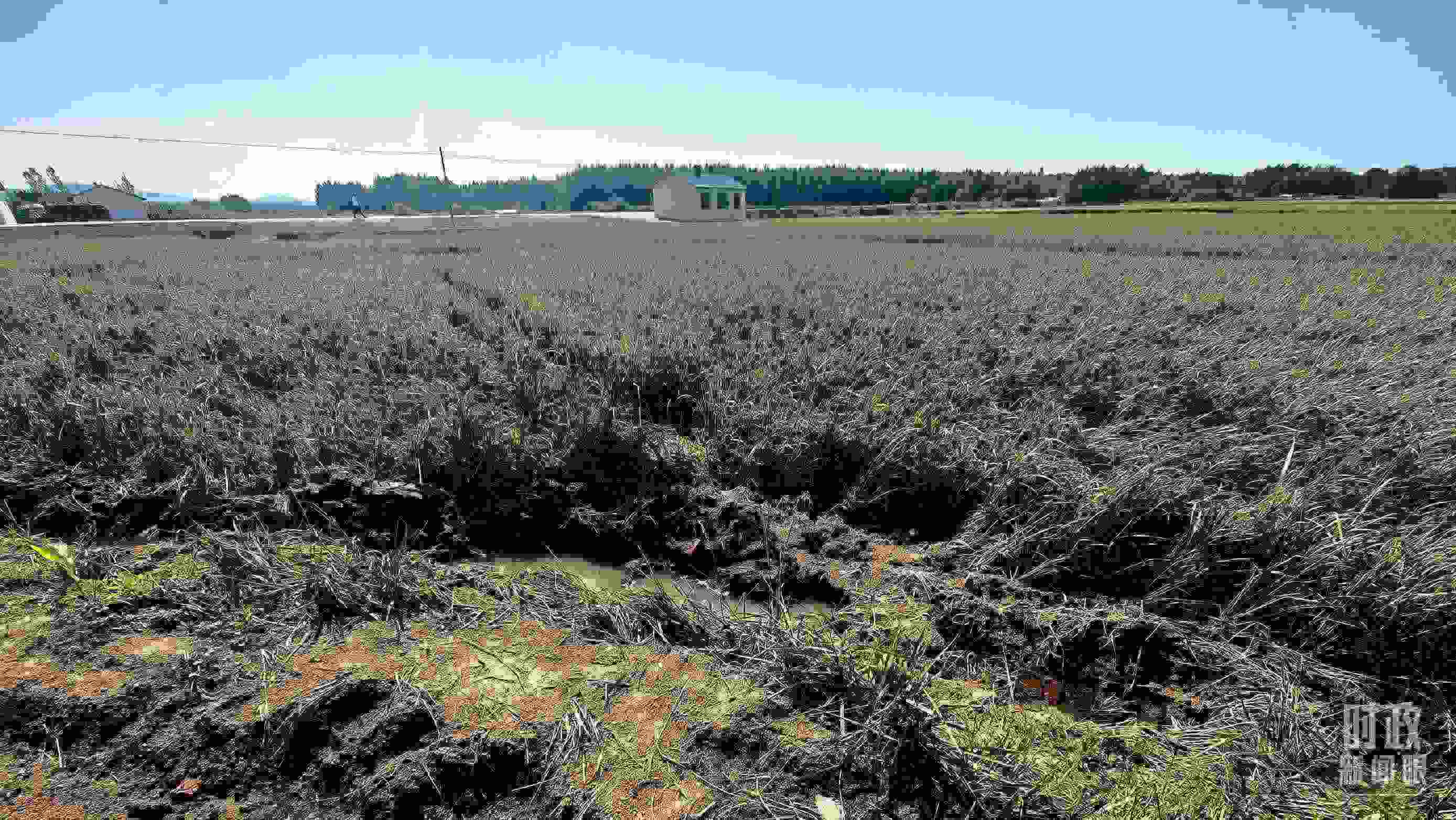 △圖為龍王廟村在洪災(zāi)中受損的農(nóng)田。（總臺(tái)央視記者史偉拍攝）