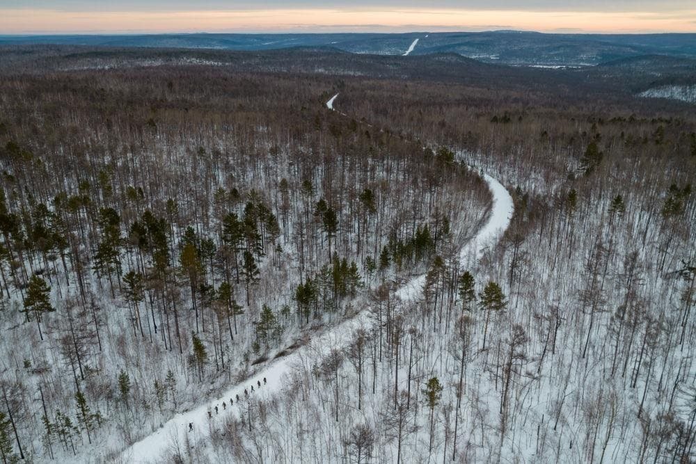△2023年1月，漠河林場(chǎng)數(shù)十名職工自發(fā)組成的森林撫育隊(duì)伍，在人跡罕至的山林中作業(yè)。