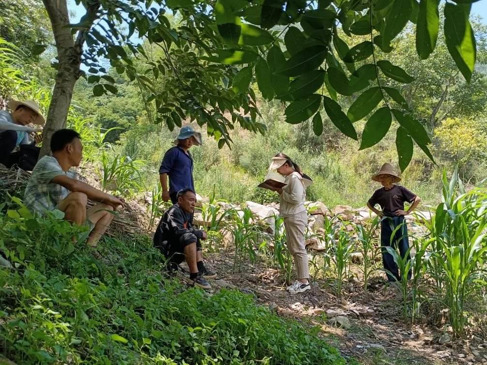 2023年7月18日，兩家村民發(fā)生土地方面的糾紛，李江女（右二）在記錄情況。受訪者供圖