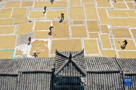 9月16日，村民在貴州省黔東南苗族侗族自治州從江縣剛邊壯族鄉(xiāng)三聯(lián)村晾曬稻谷（無人機照片）。