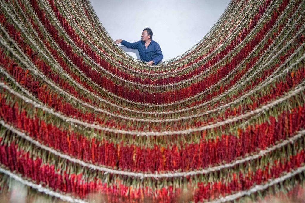 在貴州省畢節(jié)市大方縣理化鄉(xiāng)金雞村，村民查看辣椒烘干情況。新華社發(fā) 羅大富攝