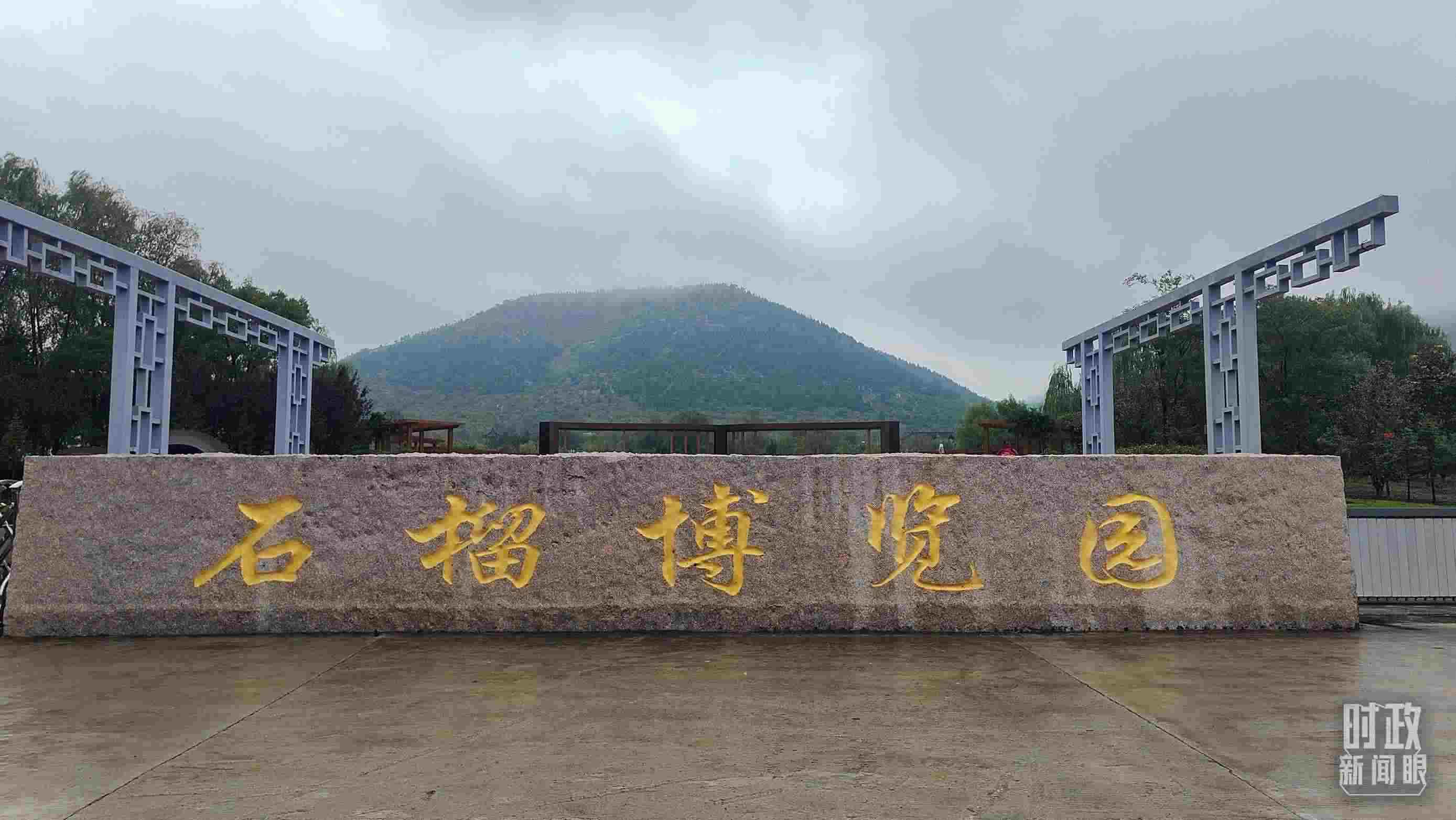 △石榴種質(zhì)資源庫(kù)位于石榴博覽園內(nèi)。（總臺(tái)央視記者楊立峰拍攝）